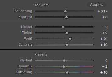 Business Portrait - lightroom-grundeinstellung