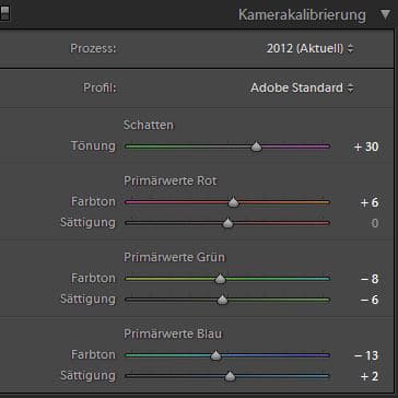 Business Portrait - lightroom-kamerakalibrierung